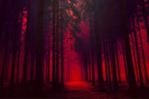 Red Forest