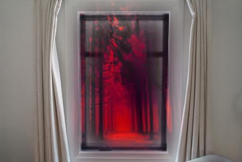 Red Forest through Window