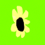 Flower at i_start=30